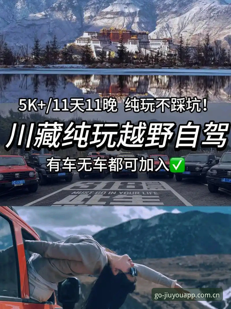 九游APP评测攻略 vs 小白踩坑实录：我替你试了一个月，终于找到最稳的上车姿势